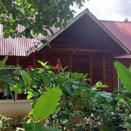 Cabanas Yax-Ha Arroyo Agua Azul Kültér fotó
