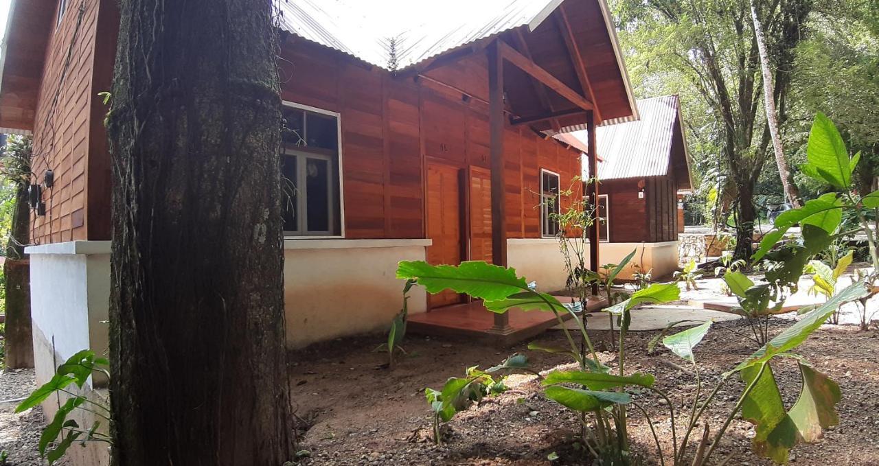 Cabanas Yax-Ha Arroyo Agua Azul Kültér fotó
