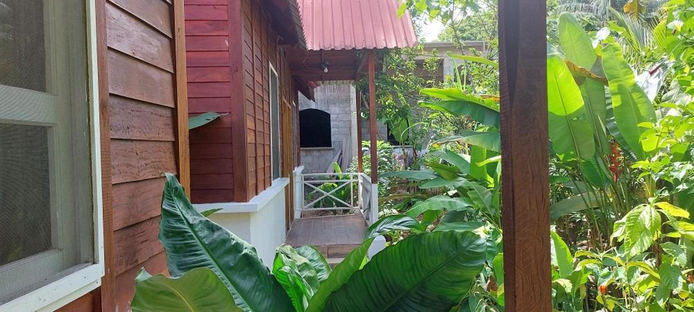 Cabanas Yax-Ha Arroyo Agua Azul Kültér fotó