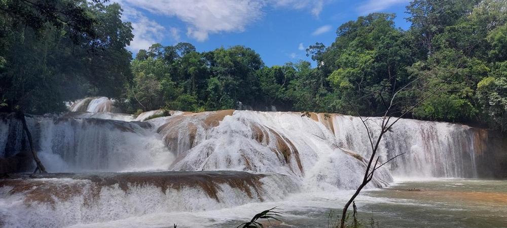 Cabanas Yax-Ha Arroyo Agua Azul Kültér fotó