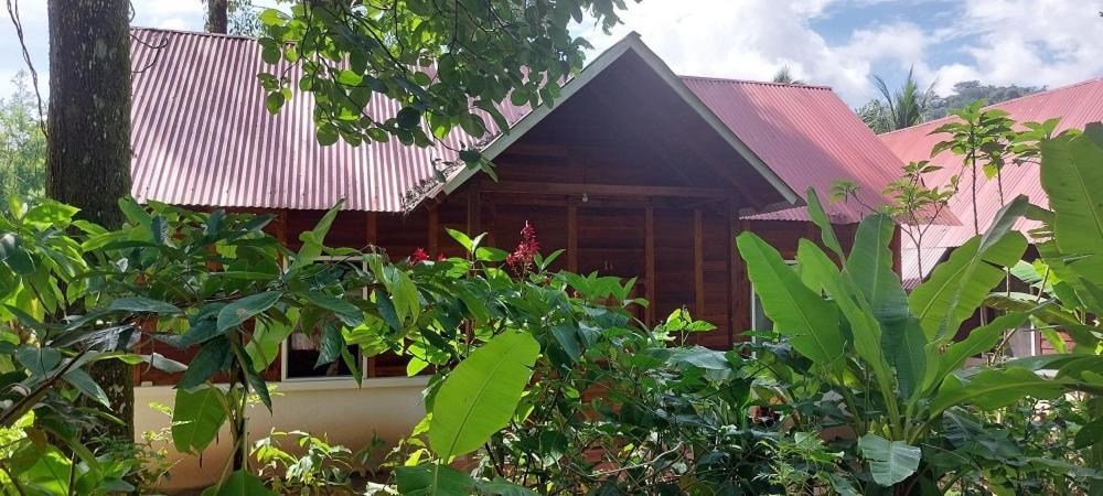 Cabanas Yax-Ha Arroyo Agua Azul Kültér fotó